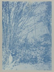 Anton onder bamboe op Ma retraite