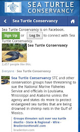 The Sea Turtle App poster 3