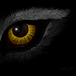 Eye of the wolf.