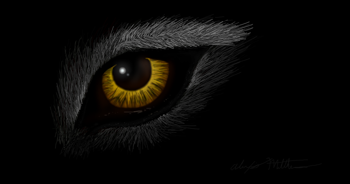 Eye of the wolf.