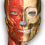 Cover Image of Baixar Aprendizagem de Anatomia - Anatomia 3D 2.1 APK
