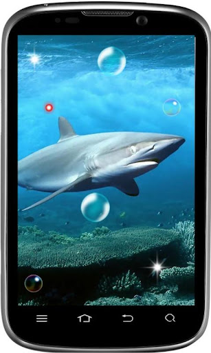 【免費個人化App】White Shark Killer Sea LWP-APP點子