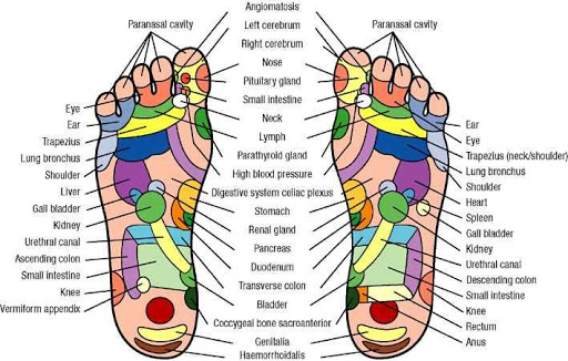 免費下載健康APP|Foot Reflexology app開箱文|APP開箱王