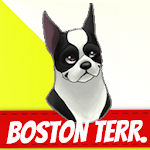 Boston Terrier Apk