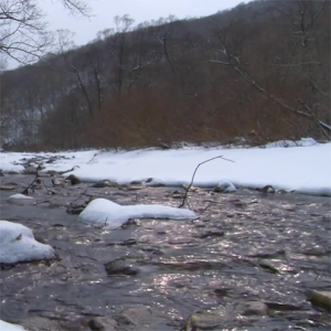 Winter Creek Live Wallpaper build-0110