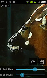 Fix Photo Noise poster 6