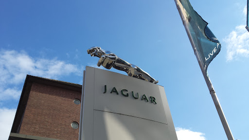 Running Jaguar