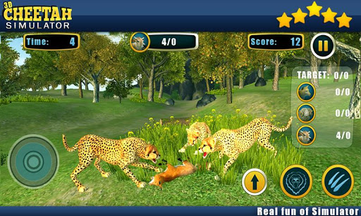 Angry Cheetah Wild Attack Sim