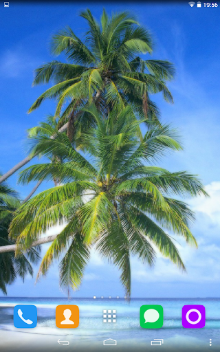 Palm Live Wallpaper