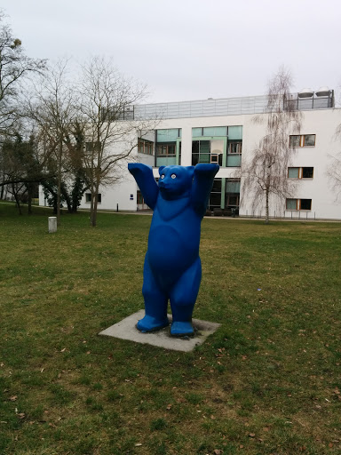 Blauer Bär
