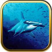 Under the Sea Puzzle Games