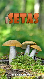 Download iSetas APK for Android