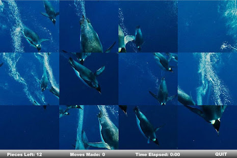 Tile Swap Game Wild Animals(圖2)-速報App