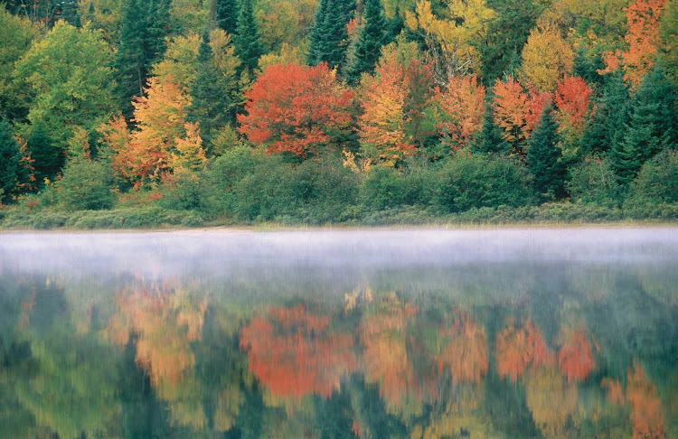 Fall colors and a morning mist hover over a lake in Parc national du Mont-Tremblant, Quebec.