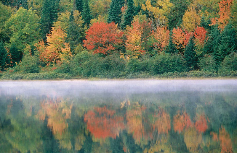 Fall colors and a morning mist hover over a lake in Parc national du Mont-Tremblant in the Laurentides region of Quebec.