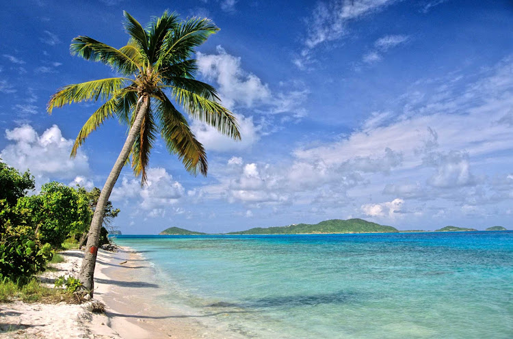 Take a lovely walk on the white sands of Tobago Cays beach while cruising aboard Royal Clipper.