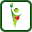 Care Gaps Download on Windows
