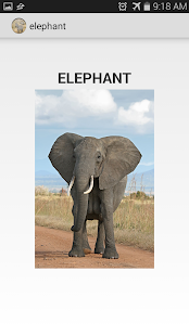 Lastest Animal Sounds For Toddlers APK for Android