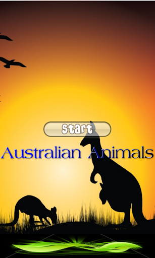 Australian Animals