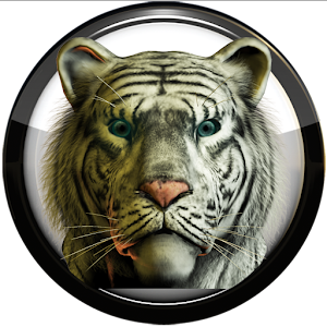 Poweramp skin white tiger.apk 3.02