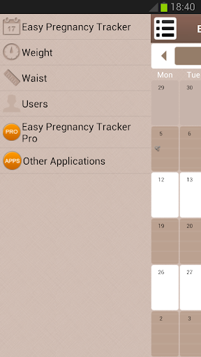 Easy Pregnancy Tracker