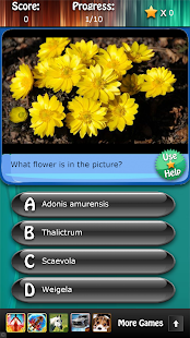Flowers and Blossoms Quiz HD Screenshots 7