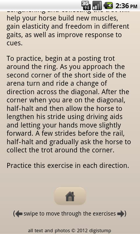 Horses 101 Training Exercises Screen 3