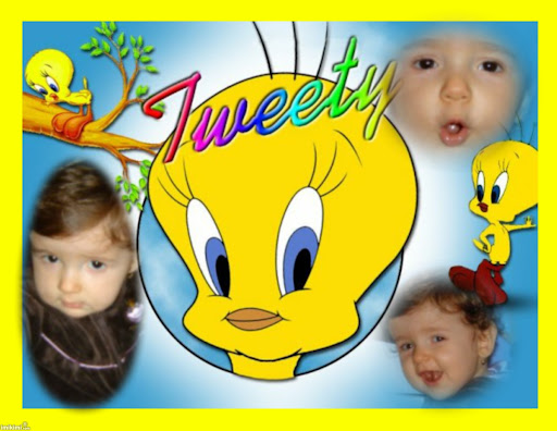 Môj Tweety.jpg
