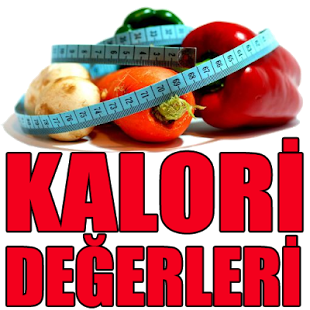 How to install Besinlerin Kalori Değerleri 1.0 apk for pc