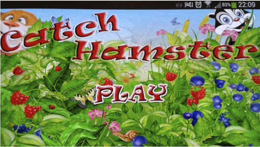 【免費娛樂App】Catch Hamster (free)-APP點子