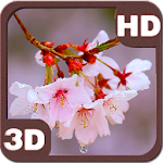 Cover Image of Baixar Rain Drizzles Cherry Branch 1.7.5 APK