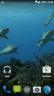 Sharks. Video Wallpaper(圖3)-速報App