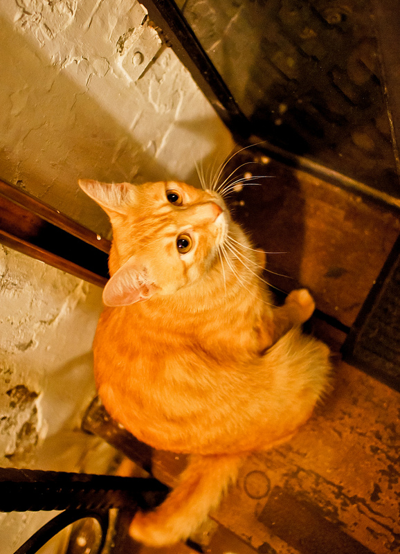 台北 波希米亞人咖啡館