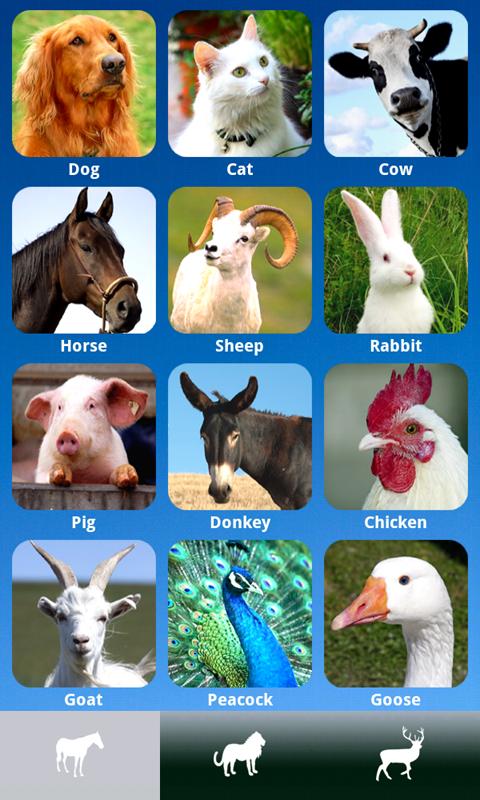ZOOLA - Animal school for kids Screen 1