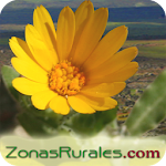 Cover Image of डाउनलोड Casas Rurales en Zonas Rurales 4.4 APK