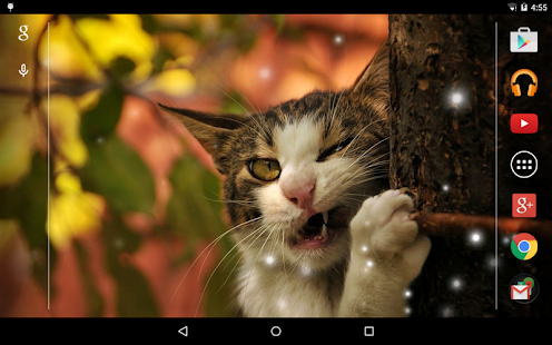 Angry Cat Live Wallpaper Screenshots 2