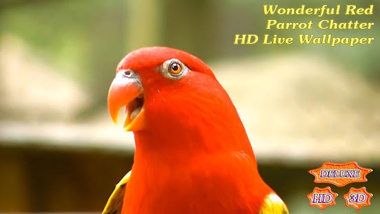 Wonderful Red Parrot Chatter - náhled
