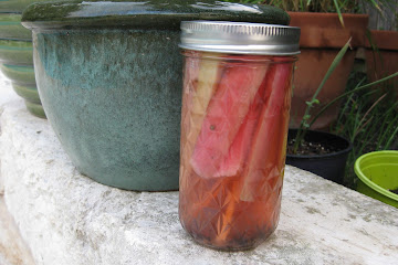 Gingered Rhubarb-Riesling Pickles