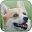 Willie The Welsh Corgi Download on Windows