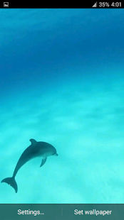 Dolphins HD. Video Wallpaper(圖7)-速報App