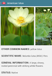 Aquatic Plants poster 3