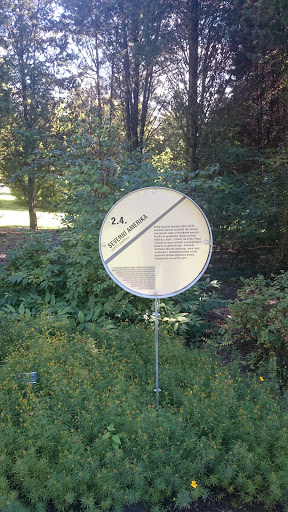 Mendelu Arboretum Severní Amerika 