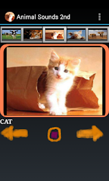 Free Animal Sounds Beta poster 5