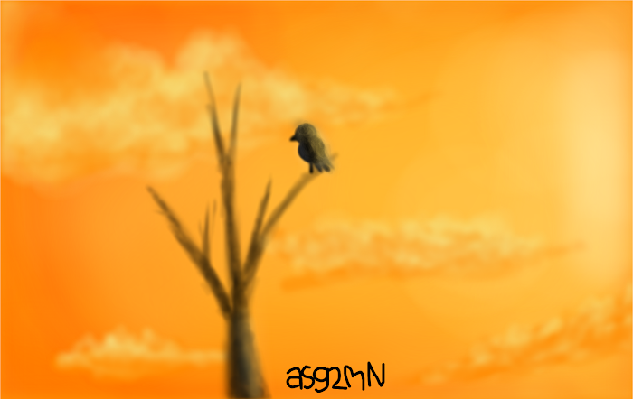Golden Sky