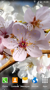 Cherry Blossom Live Wallpaper(圖5)-速報App
