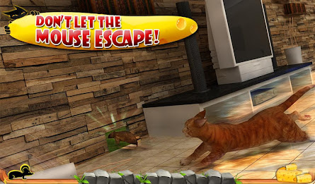 Crazy Cat vs. Mouse 3D poster 12