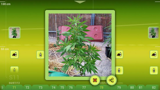 myGrow(圖4)-速報App