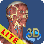 Cover Image of Скачать 3D кости и органы (анатомия) 2.5 APK
