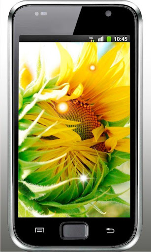 Sunflower Music live wallpaper