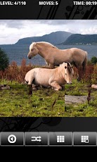 Android Horse PuzzleBox App